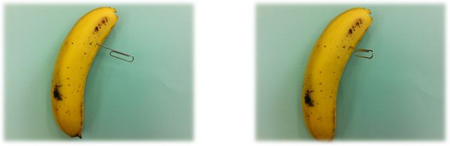 원리 설명 과정 3.4