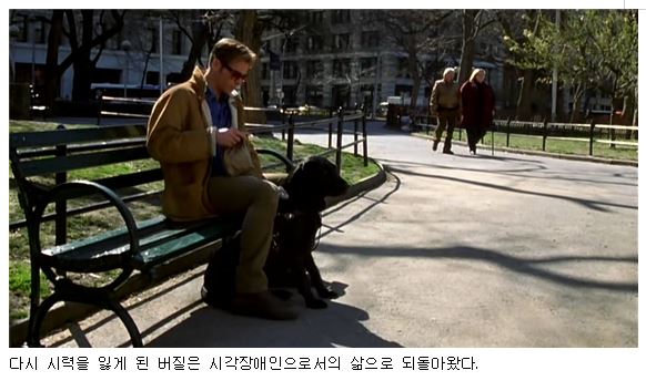 다시 시력을 잃게 된 버질은 시각장애인으로서의 삶으로 되돌아왔다.