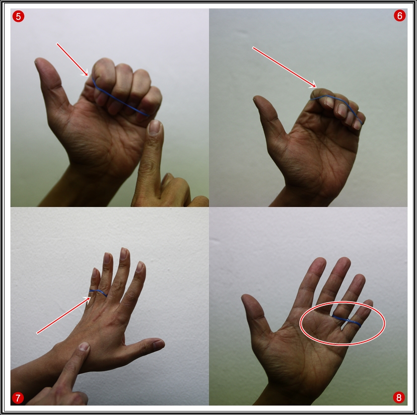 ⑤ 고무줄이 그림처럼 잘 끼워진 상태에서 손을 잘 펴면 놀라운 일이 벌어진답니다. ⑥ 손이 펴지면서 고무줄이 이동하게 되는 거죠 ⑦ (그림을 주의 깊게 보세요) 그림처럼 고무줄이 쉽게 이동한답니다. ⑧ 고무줄의 탄성 즉 늘어나는 힘 때문에 가능한 마술이죠.