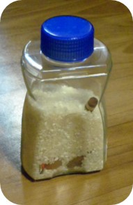 쌀과 소품이 담겨 있는 페트병이 뚜껑으로 닫혀있는 모습